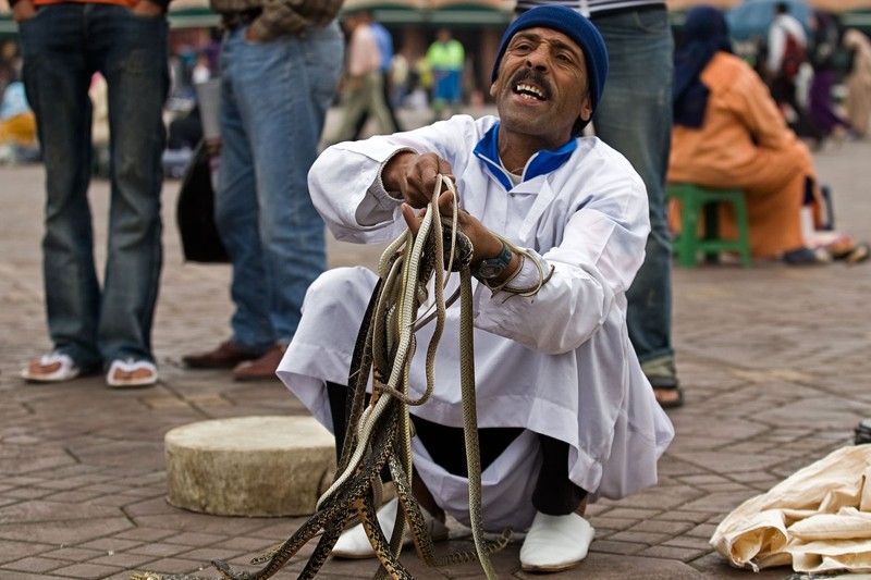 Snake magician, Morocco, Marrakech