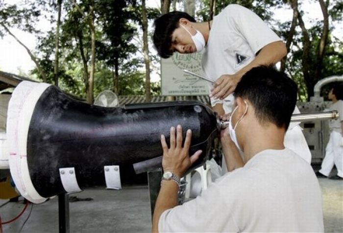 elephant lost his leg on the bomb