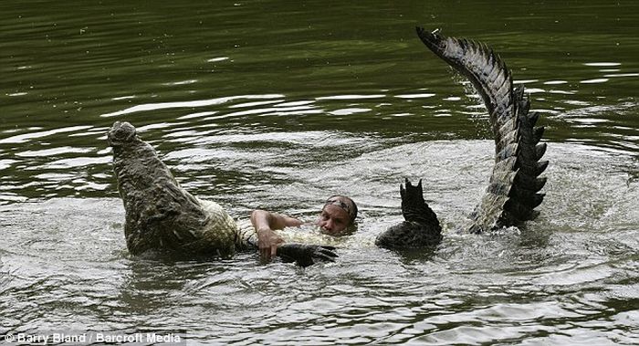 Crocodile pet, Costa Rica