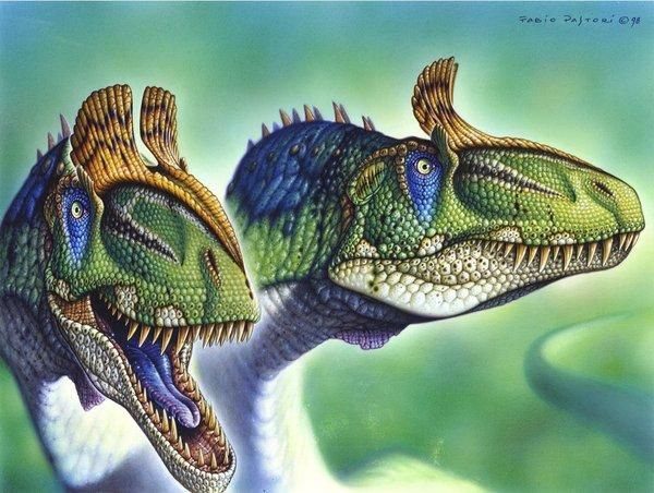 Sauropods drawings