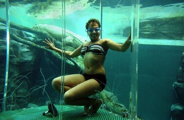 Cage of Death, Crocosaurus Cove