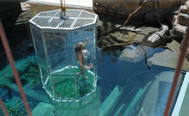 Cage of Death, Crocosaurus Cove