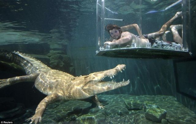 Cage of Death, Crocosaurus Cove