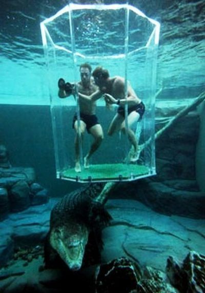 Cage of Death, Crocosaurus Cove