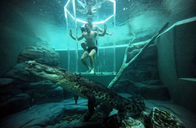 Cage of Death, Crocosaurus Cove