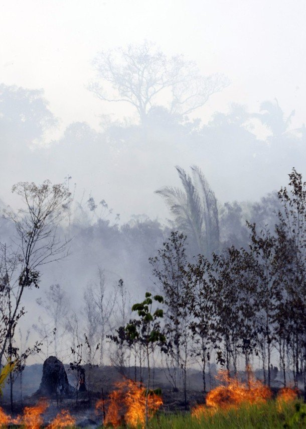 seasonal drought in the tropics