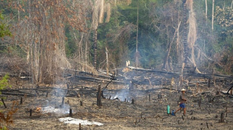 seasonal drought in the tropics