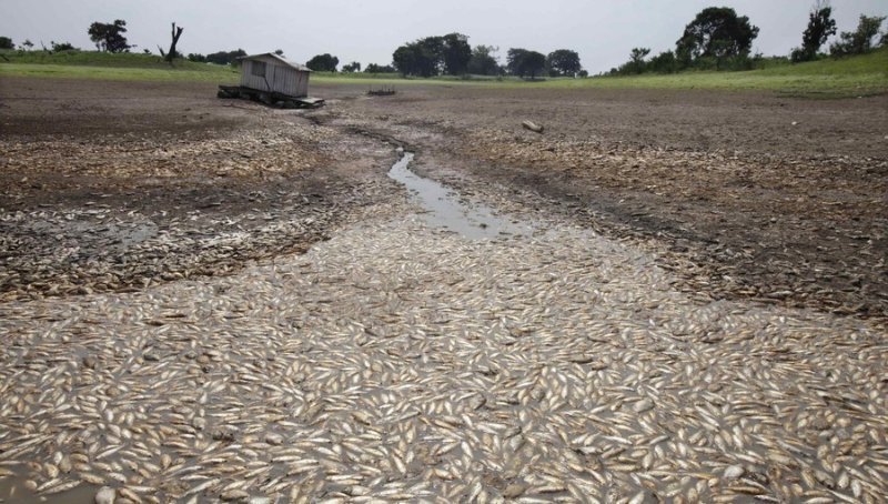 seasonal drought in the tropics