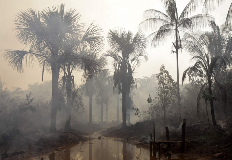 seasonal drought in the tropics