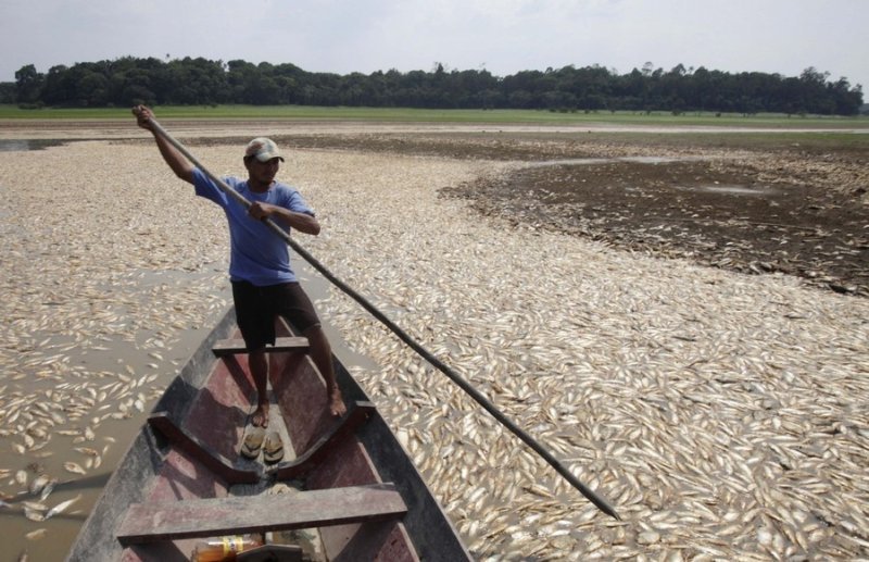 seasonal drought in the tropics