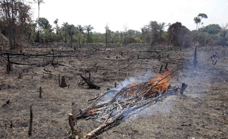 seasonal drought in the tropics