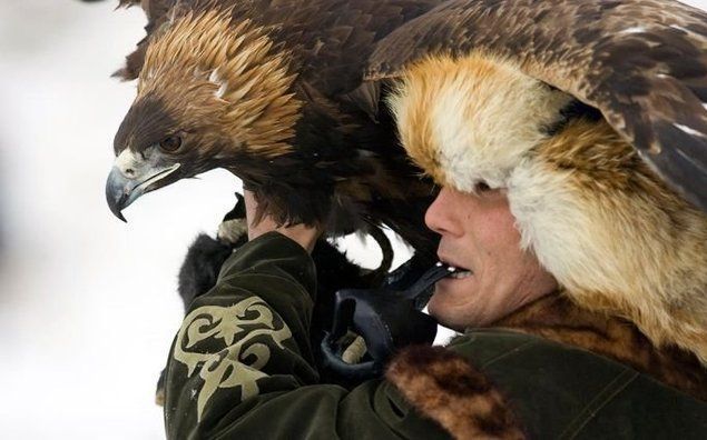 Hunting rabbits with golden eagles, Kazakhstan