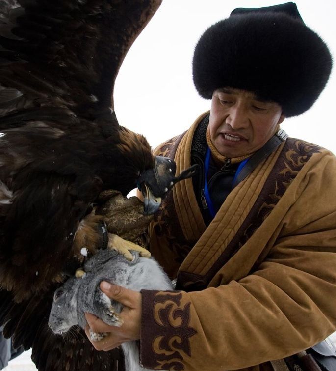 Hunting rabbits with golden eagles, Kazakhstan