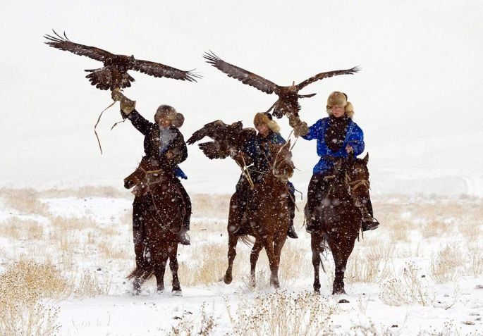 Hunting rabbits with golden eagles, Kazakhstan