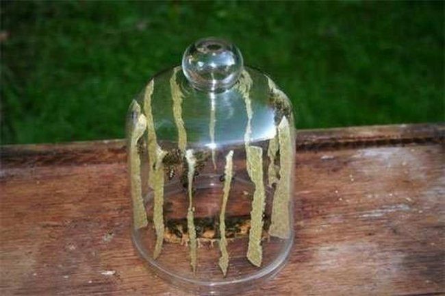 Bees make honey in the bottle