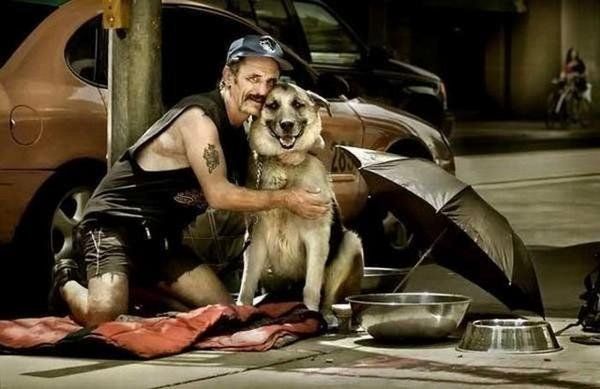 dog, a man's best friend