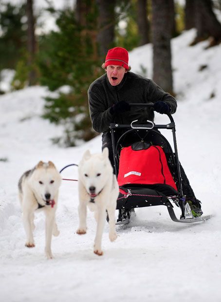 Husky Sled Dog Rally