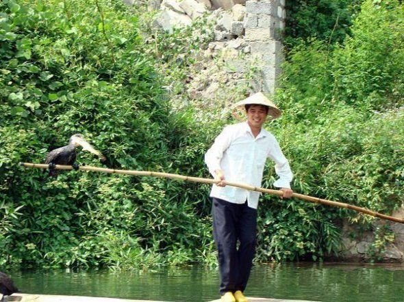 fisherman fishing with birds