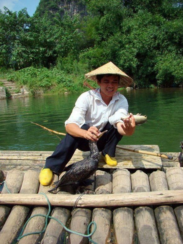fisherman fishing with birds