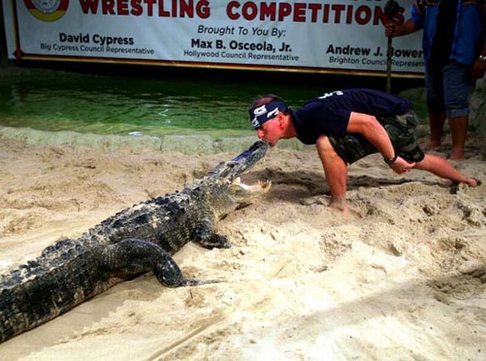 dangerous crocodiles games