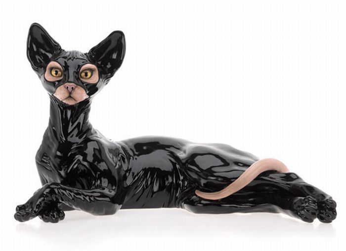 BDSM cat