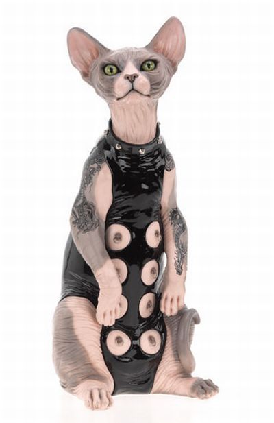 BDSM cat