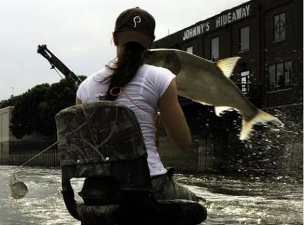 Asian Carp attacks while fishing from the boat