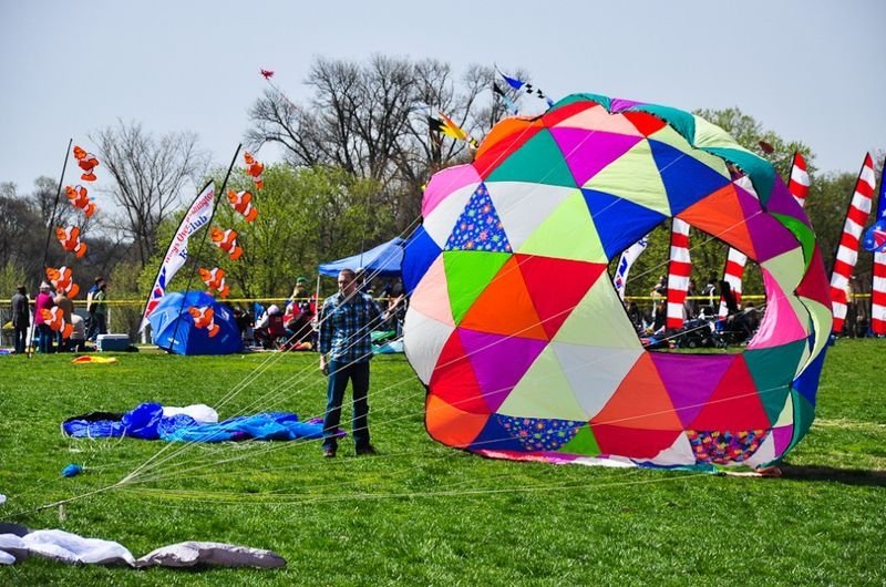 cherry blossom festival