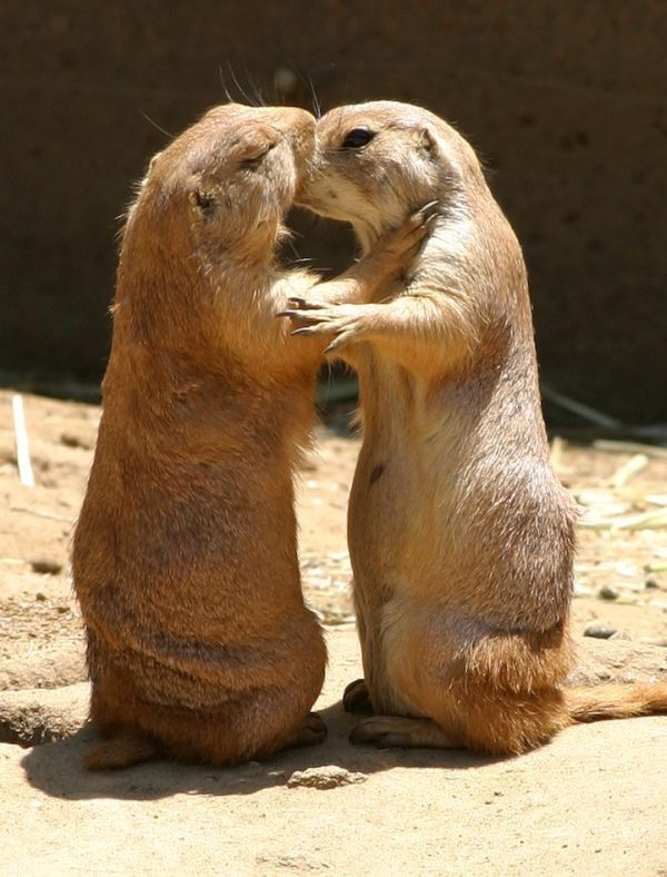 right moment pictures of animals in zoo