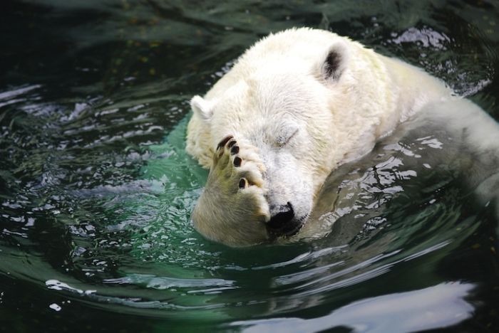 right moment pictures of animals in zoo