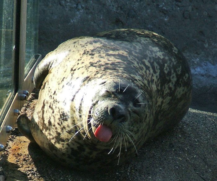 right moment pictures of animals in zoo