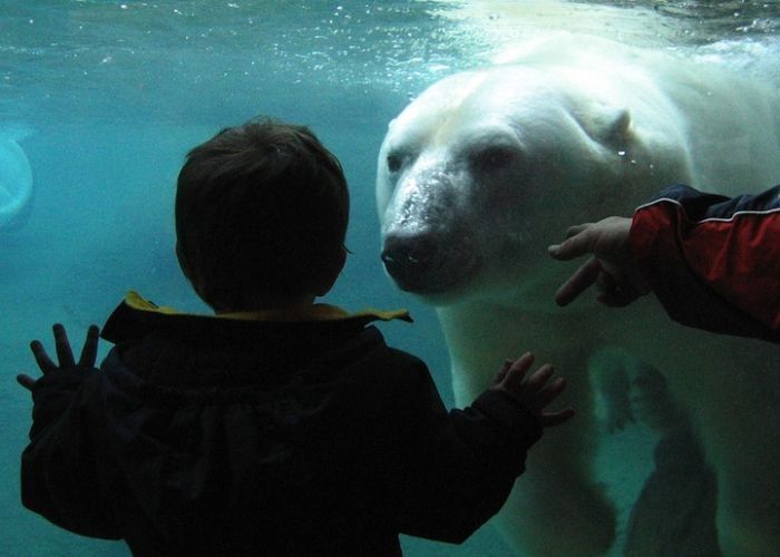 right moment pictures of animals in zoo