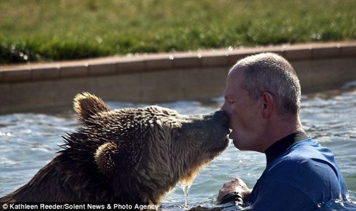 Playing with grizzly cubs, Out of Africa Wildlife Park in Arizona, United States