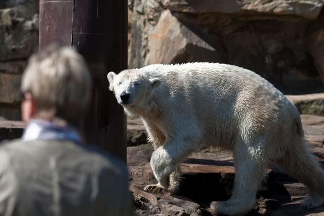 life of animals in zoo