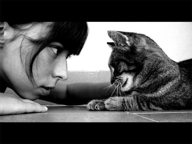 photo of girl with cat