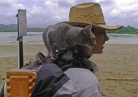 guy traveling with a cat