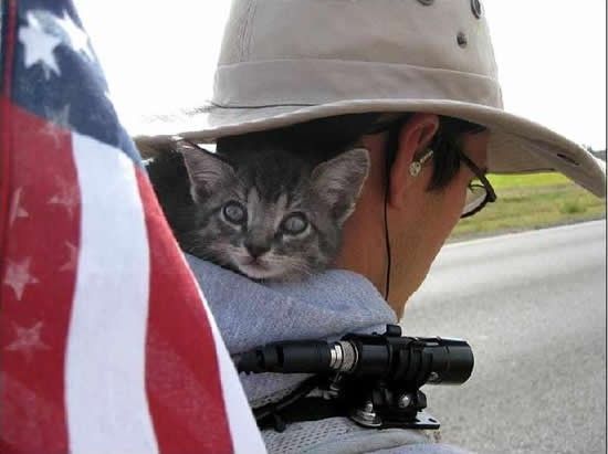 guy traveling with a cat