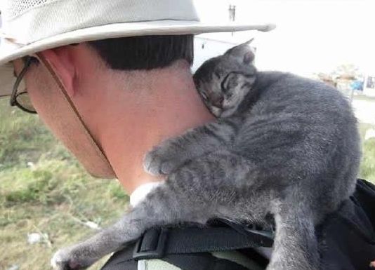guy traveling with a cat