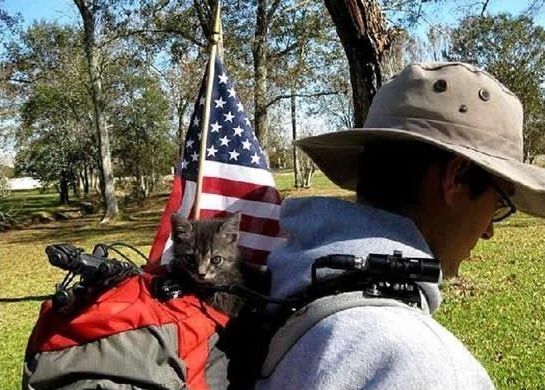 guy traveling with a cat