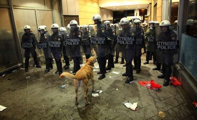 Loukanikos, the riot dog