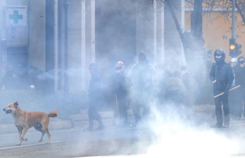 Loukanikos, the riot dog