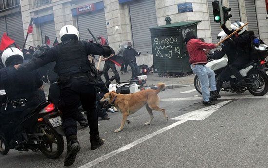 Loukanikos, the riot dog