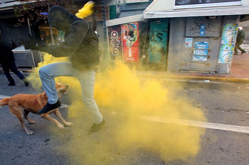 Loukanikos, the riot dog