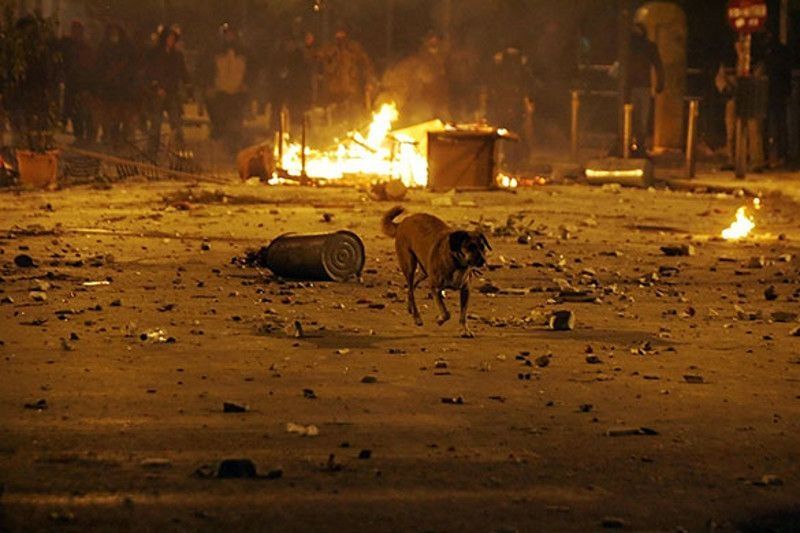 Loukanikos, the riot dog