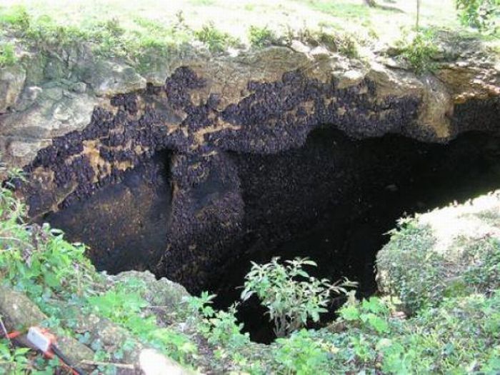 Monfort Bat Cave, Somalia