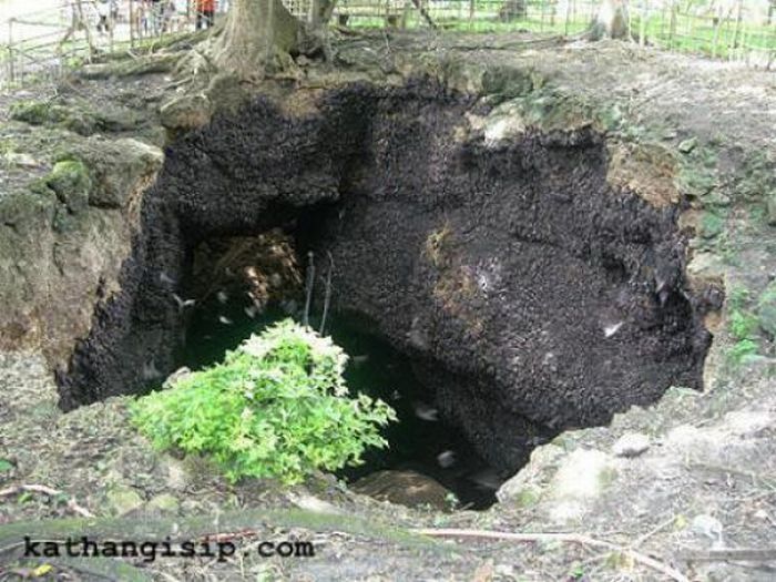 Monfort Bat Cave, Somalia