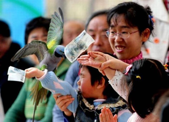 Bird Sports Meeting, China