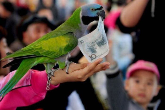 Bird Sports Meeting, China