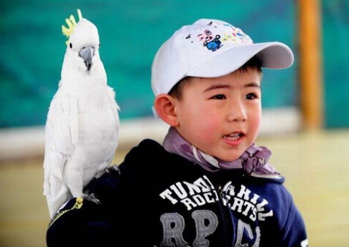 Bird Sports Meeting, China