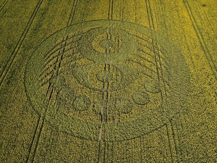 crop circle